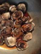 すぐできる サルボウ貝の煮付け レシピ 作り方 By トン豚トン クックパッド 簡単おいしいみんなのレシピが353万品