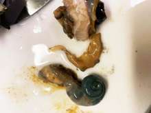 サザエのお刺身と肝の旨味タレ漬け レシピ 作り方 By ぽーみゅー クックパッド 簡単おいしいみんなのレシピが358万品