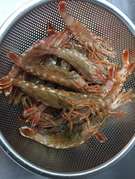 猛者えびの生と塩焼き レシピ 作り方 By じぇいけい クックパッド 簡単おいしいみんなのレシピが353万品