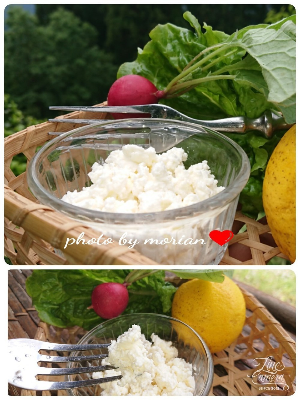 牛乳大量消費 おうちで リコッタチーズ レシピ 作り方 By もりあん農園 クックパッド 簡単おいしいみんなのレシピが349万品