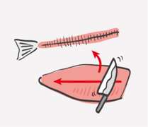 サクラマスのさばき方 レシピ 作り方 By 北海道食べる通信 クックパッド 簡単おいしいみんなのレシピが353万品