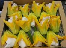花ズッキーニのフリット レシピ 作り方 By かほくイタリア野菜 クックパッド 簡単おいしいみんなのレシピが368万品