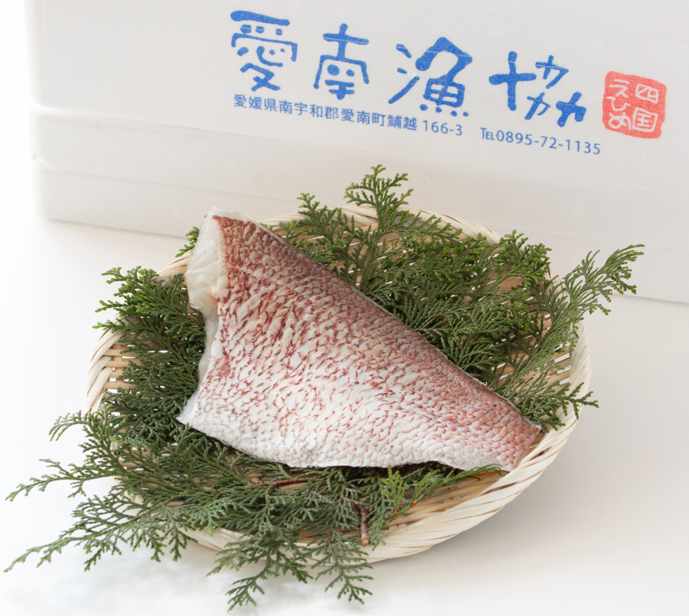 レンジで簡単 鯛そうめん 煮付け魚 レシピ 作り方 By 愛南ぎょしょく クックパッド
