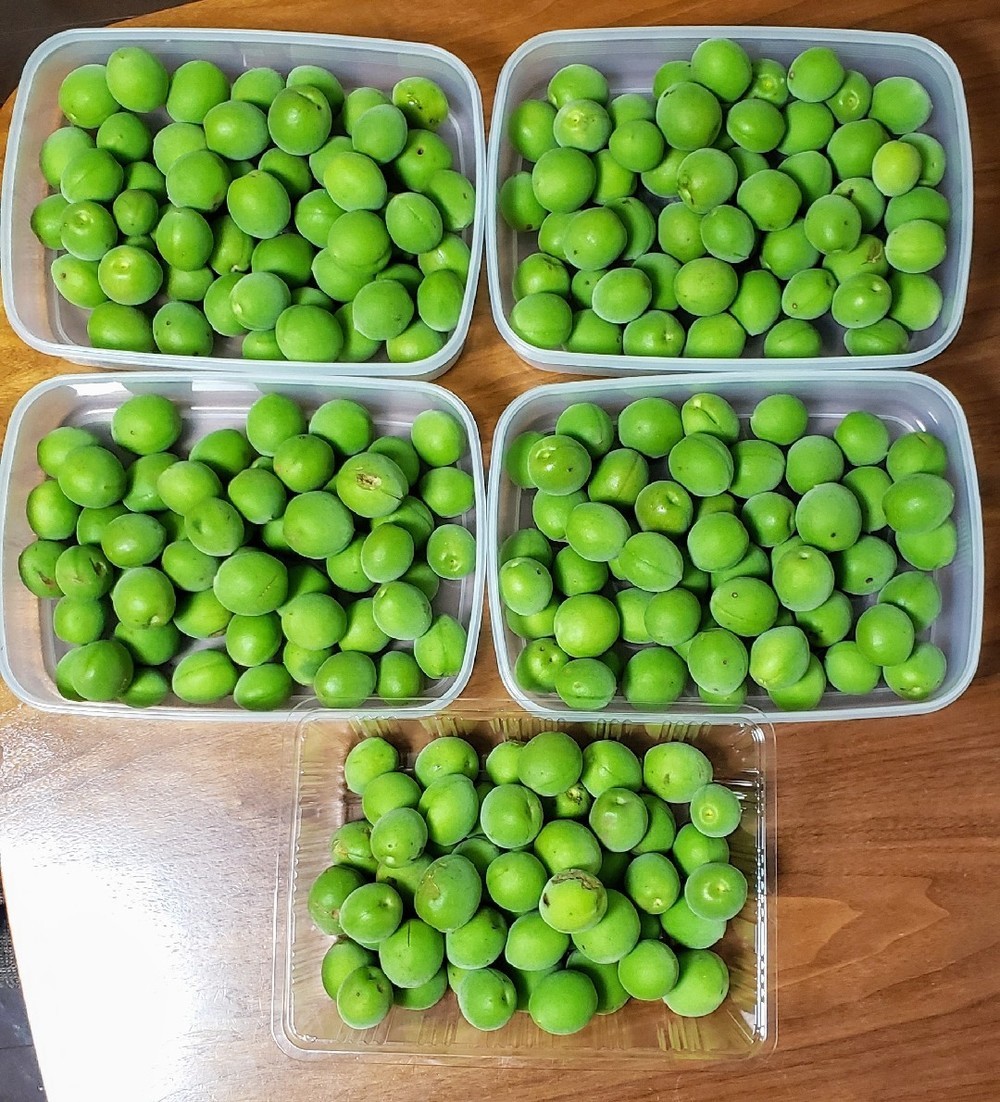 りんご酢入りの梅シロップ 梅ジュース レシピ 作り方 By Bakayuka クックパッド 簡単おいしいみんなのレシピが354万品