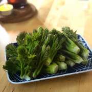 韓国 山ウドの刺身と酢コチュジャン レシピ 作り方 By みなとキッチン クックパッド 簡単おいしいみんなのレシピが354万品