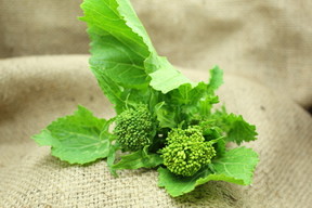 ホリデーマディバディのレシピ