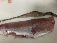 珍味 ホッケの皮の唐揚げ 骨せんべい レシピ 作り方 By ファットマン小川 クックパッド 簡単おいしいみんなのレシピが358万品