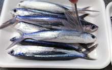 旬の魚トビウオのフワフワフライ レシピ 作り方 By 悠美姉 クックパッド 簡単おいしいみんなのレシピが360万品