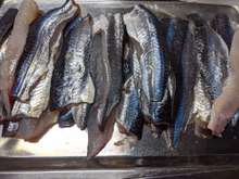 旬の魚トビウオのフワフワフライ レシピ 作り方 By 悠美姉 クックパッド 簡単おいしいみんなのレシピが360万品