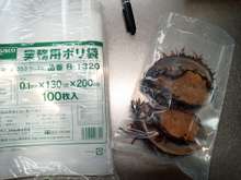 長期保存向け アワビの冷凍保存 レシピ 作り方 By さくるど クックパッド 簡単おいしいみんなのレシピが374万品