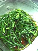 値段がつけられない贅沢 花ニラのおひたし レシピ 作り方 By かざぴー クックパッド 簡単おいしいみんなのレシピが357万品