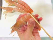 海老の塩焼き まっすぐなエビ丸焼き レシピ 作り方 By 体裁よく クックパッド 簡単おいしいみんなのレシピが364万品