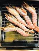海老の塩焼き まっすぐなエビ丸焼き レシピ 作り方 By 体裁よく クックパッド 簡単おいしいみんなのレシピが364万品