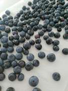 ブルーベリーシロップ漬け レシピ 作り方 By かふかう クックパッド 簡単おいしいみんなのレシピが355万品