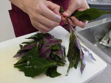 ハンダマ 水前寺菜 のサラダ レシピ 作り方 By 沖縄市役所市民健康課 クックパッド 簡単おいしいみんなのレシピが357万品