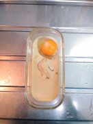 Cb33a1498755d94ee7fa9c6096f288e8?u=5410329&p=1610651965