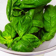 ドライバジルとバジルパウダーの作り方 レシピ 作り方 By ラボネクト クックパッド 簡単おいしいみんなのレシピが358万品