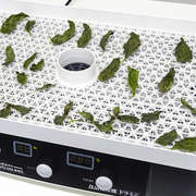 ドライバジルとバジルパウダーの作り方 レシピ 作り方 By ラボネクト クックパッド 簡単おいしいみんなのレシピが358万品