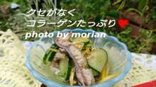 コラーゲンたっぷり サメ皮で酢の物 レシピ 作り方 By もりあん農園 クックパッド 簡単おいしいみんなのレシピが361万品