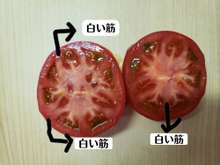 トマトとハムのからし醤油和え レシピ 作り方 By こはるスマイルごはん クックパッド 簡単おいしいみんなのレシピが365万品