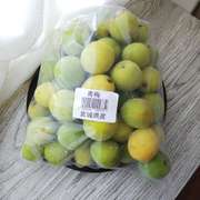 さしす梅干し 保存袋使用 レシピ 作り方 By ねぇちゃん67 クックパッド 簡単おいしいみんなのレシピが355万品