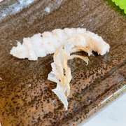 茹でシャコ 蝦蛄 きれいな茹で方 剥き方 レシピ 作り方 By 1cchie クックパッド 簡単おいしいみんなのレシピが366万品
