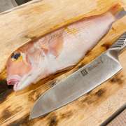 甘鯛の刺身 アマダイの捌き方 松皮造り レシピ 作り方 By 1cchie クックパッド 簡単おいしいみんなのレシピが371万品