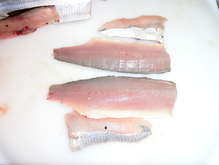 コノシロの刺身 レシピ 作り方 By 哲学する猫 クックパッド 簡単おいしいみんなのレシピが371万品