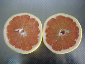 グレープフルーツティークッキーのレシピ