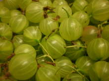 青すぐりのジャム レシピ 作り方 By ぴよぴよにすと3 クックパッド 簡単おいしいみんなのレシピが357万品