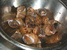 海つぼのゆで方 レシピ 作り方 By ぶちみけ クックパッド