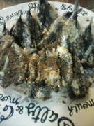 こうや豆腐 しみ豆腐 で代用パン粉 レシピ 作り方 By ０まりや０ クックパッド 簡単おいしいみんなのレシピが360万品