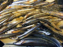 ヘルシーきびなご唐揚げ レシピ 作り方 By Kanakinny クックパッド 簡単おいしいみんなのレシピが361万品