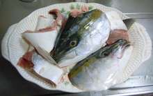 ブリ 魚頭カレー レシピ 作り方 By 食讃人 クックパッド 簡単おいしいみんなのレシピが356万品