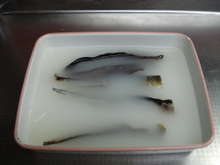 身欠きニシンの戻し方 自己流 レシピ 作り方 By まめまきねこ クックパッド 簡単おいしいみんなのレシピが361万品