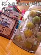 冷凍穴あけ灰汁抜きなし超簡単 梅シロップ レシピ 作り方 By Da Abll39 クックパッド 簡単おいしいみんなのレシピが358万品