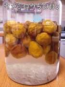 冷凍穴あけ灰汁抜きなし超簡単 梅シロップ レシピ 作り方 By Da Abll39 クックパッド 簡単おいしいみんなのレシピが358万品