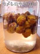 冷凍穴あけ灰汁抜きなし超簡単 梅シロップ レシピ 作り方 By Da Abll39 クックパッド 簡単おいしいみんなのレシピが358万品