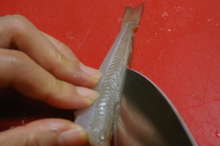 キスのさばき方 キスの天ぷら レシピ 作り方 By Hiroマンマ クックパッド 簡単おいしいみんなのレシピが360万品