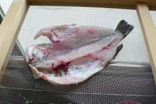 旬 黒メバルの干物 の作り方 レシピ 作り方 By Horseland クックパッド 簡単おいしいみんなのレシピが360万品