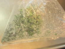 身近な春の山菜 カラスノエンドウの天ぷら レシピ 作り方 By 黒鯛チヌ子 クックパッド 簡単おいしいみんなのレシピが373万品