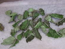 ドライ レモンバーム ハーブソルト レシピ 作り方 By こずっぺ クックパッド 簡単おいしいみんなのレシピが358万品