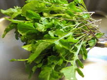 ルッコラのベーコンさっと炒め レシピ 作り方 By ハラギャーテイ クックパッド 簡単おいしいみんなのレシピが360万品