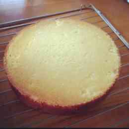 租界 満足させる パドル ふわふわ スポンジ ケーキ 21cm Wairoom Oita Jp