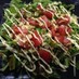 水菜のお好み焼き風サラダ