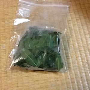生月桂樹の葉の取扱いと保存 レシピ 作り方 By はーとねこ クックパッド 簡単おいしいみんなのレシピが358万品