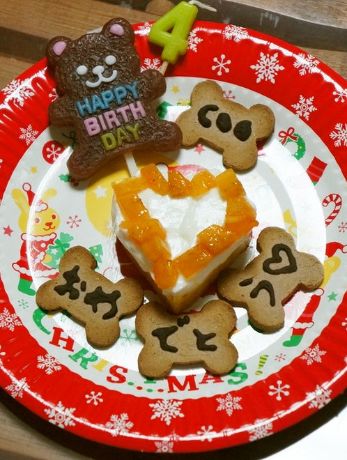 激レア　新品　犬のおやつメーカーBake a Bone　骨型　レシピブックレット Amazon.co.jp: 犬のおやつメーカーBake a Bone 骨型 レシピ