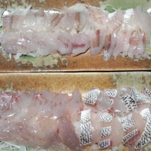 鯛 チヌ の湯引き レシピ 作り方 By 1646 クックパッド 簡単おいしいみんなのレシピが361万品