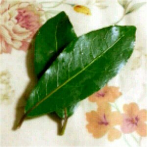 フライパンで手作りローリエ レシピ 作り方 By よっちのママ クックパッド 簡単おいしいみんなのレシピが358万品