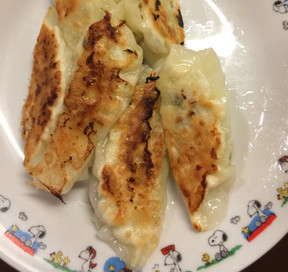 豆腐と野菜の中華餃子のレシピ